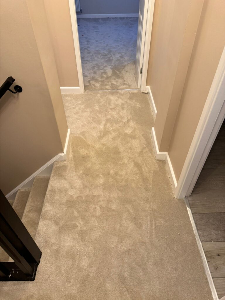 whatsapp image 2026 04 27 at 00.00.13 (3)