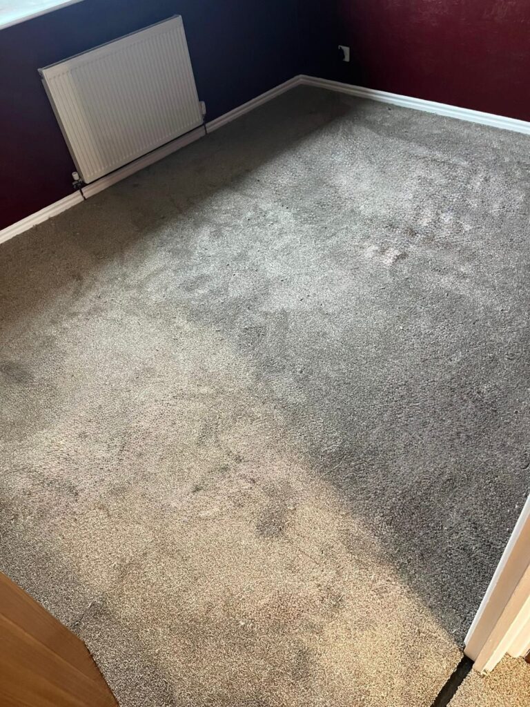 whatsapp image 2026 04 27 at 00.00.14