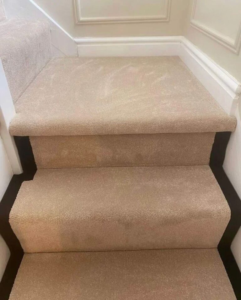 whatsapp image 2026 04 27 at 00.46.52 (1)